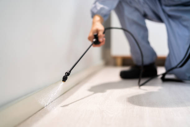 Licensed Rodent Control service in Alpine, NJ - Nex Pest Control