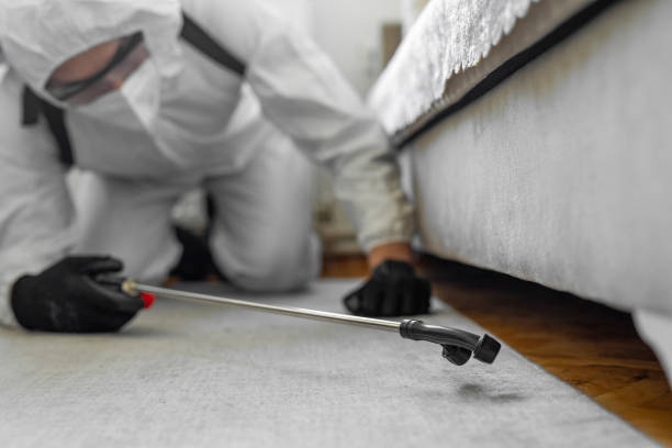 Professional Rodent Control technician working in Alpine, NJ