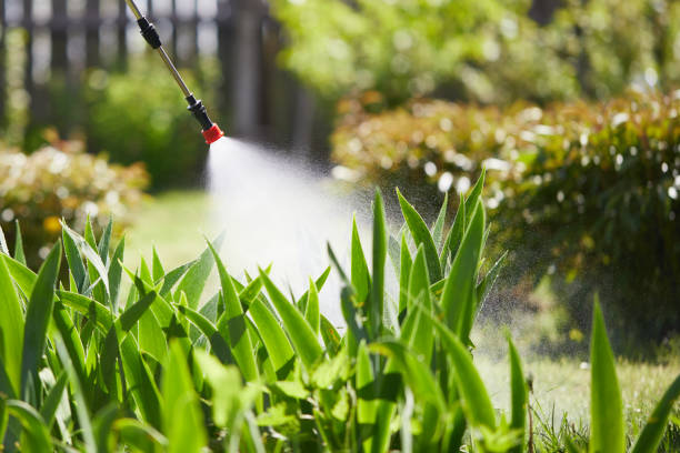 24/7 Emergency Rodent Control experts in Alpine, NJ