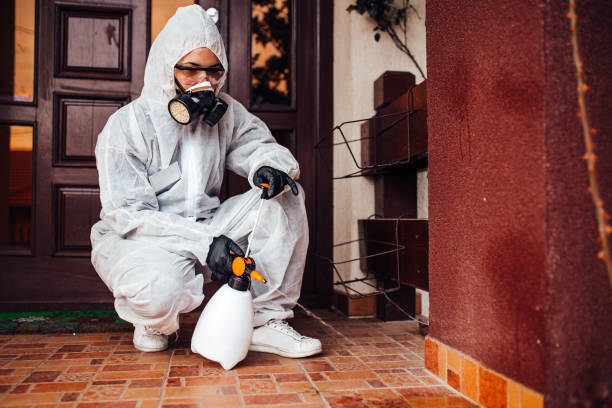 Reliable Rodent Control contractor in Alpine, NJ by Nex Pest Control
